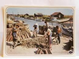 CPM (17) Charente Maritime - Bassin Ostréicole De Marennes Oléron - Le Détroquage Des Huîtres Au Chenal D'Ors - Marennes