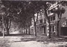 BARBAZAN ( H.G ) Hôtel Bergé, L'annexe Dans Le Parc - Barbazan