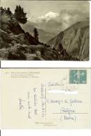 Naturschutzgebiet Aletschwald Bei Riederalp Ob Morel: Aussblick Auf Matterhorn U.Weisshorn. Postcard 9x14 Travelled 1964 - Riederalp