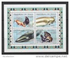 Congo 1999 Marine Life Sealife Dolphine Underwater World Sea Lion Fish Whale Animals Nature Seal MNH Michel 1605-1608 - Nuevos