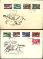 YUGOSLAVIA - JUGOSLAVIA  - Reptiles. Snakes, Frogs, Lizards, Salamanders, Turtles  - FDC -1962 - Tortues