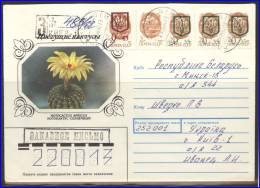 UKRAINE Postal History Envelope UA 138 Provisional Postage Overprint Cactus - Ukraine