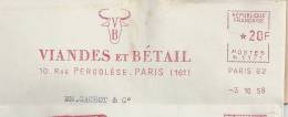 Viande, Bétail, Vache, Boeuf - EMA Secap N -Lettre Entière  (M018) - Vaches