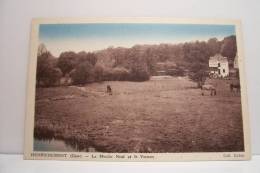 HENRICHEMONT  - Le Moulin Neuf Et Le Vernon - Henrichemont