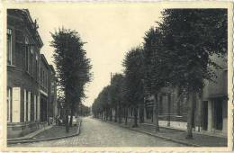 Beerse :  Lindenlaan - Beerse