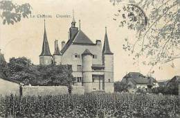 Suisse -ref C31- Le Chateau - Cressier   - Carte Bon Etat - - Cressier