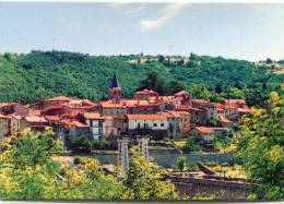 CPSM 43 AUREC SUR LOIRE VUE GENERALE DU VILLAGE 1989 Grand Format - Other & Unclassified