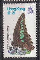 Hong Kong MNH Scott #355 $1 Graphium Sarpedon - Butterflies - Nuevos