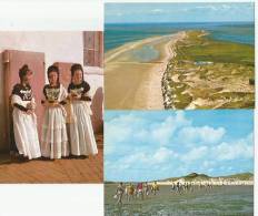 AMRUM Friesentracht Wattenwanderer Strandhalle Odde Schullandheim Schleswig-Holstein Nordfriesland 3 Ansichtskarten - Nordfriesland