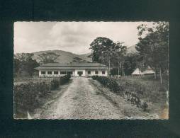 CPSM - Guinée - SEREDOU - Station De Quinquina ( C.O.G.E.X.) - Guinee