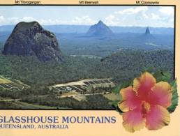 (251) Australia - QLD - Glasshouse Mtn - Altri