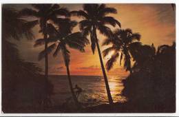 1967 TRINIDAD E TOBAGO - A BEAUTIFUL TYPICAL SUNSET - Trinidad