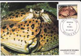 Carte-Maximum NOUVELLE CALEDONIE  N° Yvert 463 (CRABE Ouvre-boîte) Obl Sp 1er Jour - Maximum Cards