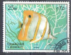 Sharjah 1972 - Fish- Mi. 1194A - Used - Sharjah