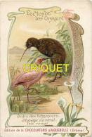 Chromo Aiguebelle, Le Monde Des Oiseaux, Aptéryx Austral, Ibis Rose, Scan Recto Verso - Aiguebelle