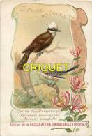 Chromo Aiguebelle, Le Monde Des Oiseaux, Garrulaxe Leucocéphale, Moqueur Polyglotte, Scan Recto Verso - Aiguebelle