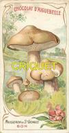 Chromo Aiguebelle, Les Champignons, Mousseron De St Georges, Scan Recto Verso - Aiguebelle