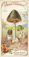 Chromo Aiguebelle, Les Champignons, Volvaire Gluante, Scan Recto Verso - Aiguebelle