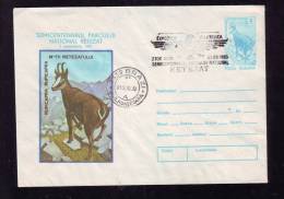 CHAMOIS,1985 RETEZAT PROTECTION RARE COVER STATIONERY OBLIT. CONCORDANTE ROMANIA - Animalez De Caza