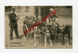 Attelage De Chiens-Marchande De LAIT-Gendarme-PITTEM-Animation-Types-Commerce-BELGIEN-BELGIQUE-FLANDERN-NELS- - Pittem