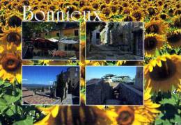 84 BONNIEUX, Tournesols - Bonnieux