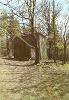 CHALET DE SURVEILLANCE DE CHASSE SUR LE KICKELHAHN ,COULEUR REF 31914 - Ilmenau