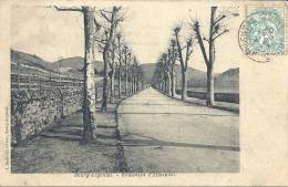 RHONE ALPES - 42 - LOIRE - BOURG ARGENTAL - Boulevard D'Almandet - Bourg Argental