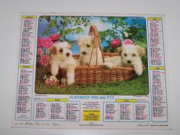 1985 CALENDRIER (double) ALMANACH DES PTT, P.T.T, JEAN LAVIGNE, CHIOTS, CHATONS, ARDENNES 08 - Groot Formaat: 1981-90