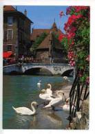 Annecy : Palais De L'isle Le Thiou Et Les Cygnes - Annecy-le-Vieux