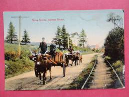 Nova Scotia Express Beams  Ca 1910    -ref 868 - Sonstige & Ohne Zuordnung