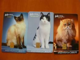 Hungary: Cats: 3 Pcs (sziámi, Házi, Perzsa) - Collections