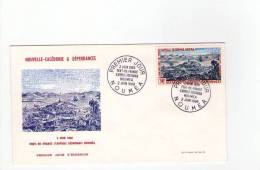 FDC Nouvelle Calédonie - Poste Aérienne - Port De France S'appelle Désormais Nouméa - Obl 02/06/66 (1er Jour) - Used Stamps