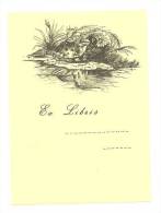 Ex Libris, Exlibris, Bookplate. Frog. Kikker. Grenouille, Frosch. Vintage - Exlibris