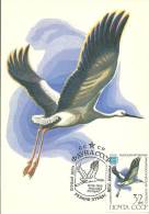 Russie URSS CCCP 1982 Birds Aves Oiseaux Vegels  Oriental Stork  - Ciconia Boyciana Maxi Maximum Post Card - Picotenazas & Aves Zancudas