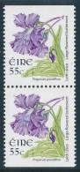 IRELAND/Irland/Eire 2004-2010 Definitive Gummed 55c Pair Ex Booklet** - Unused Stamps