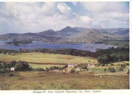 (255) Older Ireland Postcard - Co Cork - Cork