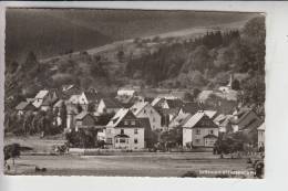 6341 DIETZHÖLZTAL - STEINBRÜCKEN, Pension Haus Karle 1964 - Wetzlar