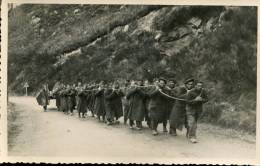 CPA /MILITAIRES / MILITARIA / CARTE PHOTO/ SOLDATS TIRANT UN CANON .NON ECRITE ‹(•¿• )› - Materiaal