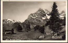 Braunwald - Braunwald