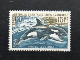 LOT 602 - T.A.A.F N° 30** - ORQUE  Cote 16 € - Dolphins