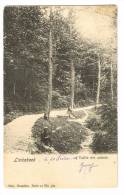 Postkaart / Carte Postale "Linkebeek - Vallée Des Artistes" - Linkebeek