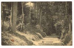 Postkaart / Carte Postale "Linkebeek - Vallée Des Artistes - Entrée" - Linkebeek