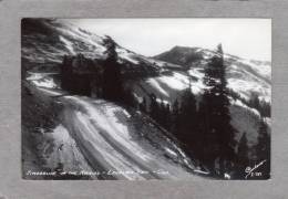 36983    Stati  Uniti,  Timberline  In  The  Rockies -  Loveland  Pass  - Colo.,  NV - Rocky Mountains