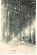 Postkaart / Carte Postale "Linkebeek - Une Belle Allée" - Linkebeek