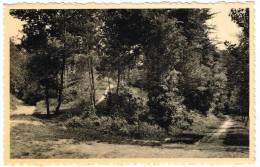 Postkaart / Carte Postale "Linkebeek - Bois De Schavey" - Linkebeek