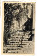 Postkaart / Carte Postale "Linkebeek - Escalier Du Centenaire" - Linkebeek