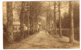 Postkaart / Carte Postale "Linkebeek - Drève Du Château" - Linkebeek