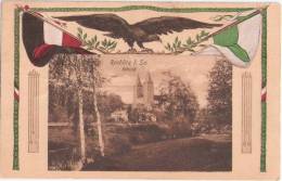 ROCHLITZ Sachsen Schloß Patriotika Flaggen Adler Color 21.2.1917 Gelaufen - Rochlitz