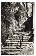 Photo Carte "Linkebeek - Escalier Du Centenaire" - Linkebeek