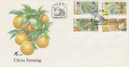 Ciskei 1988 Citrus Farming FDC - Ciskei